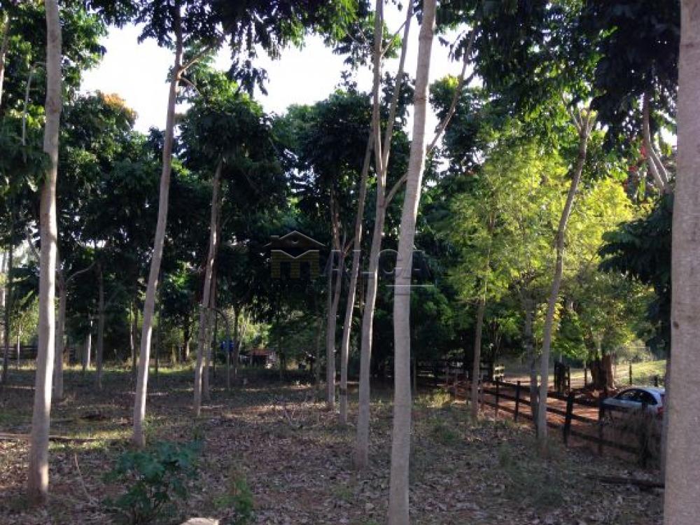 Comprar Rurais / Sitios em Itobi apenas R$ 1.270.290,00 - Foto 18 Comprar Rurais / Sitios em Itobi apenas R$ 1.270.290,00 - Foto 18