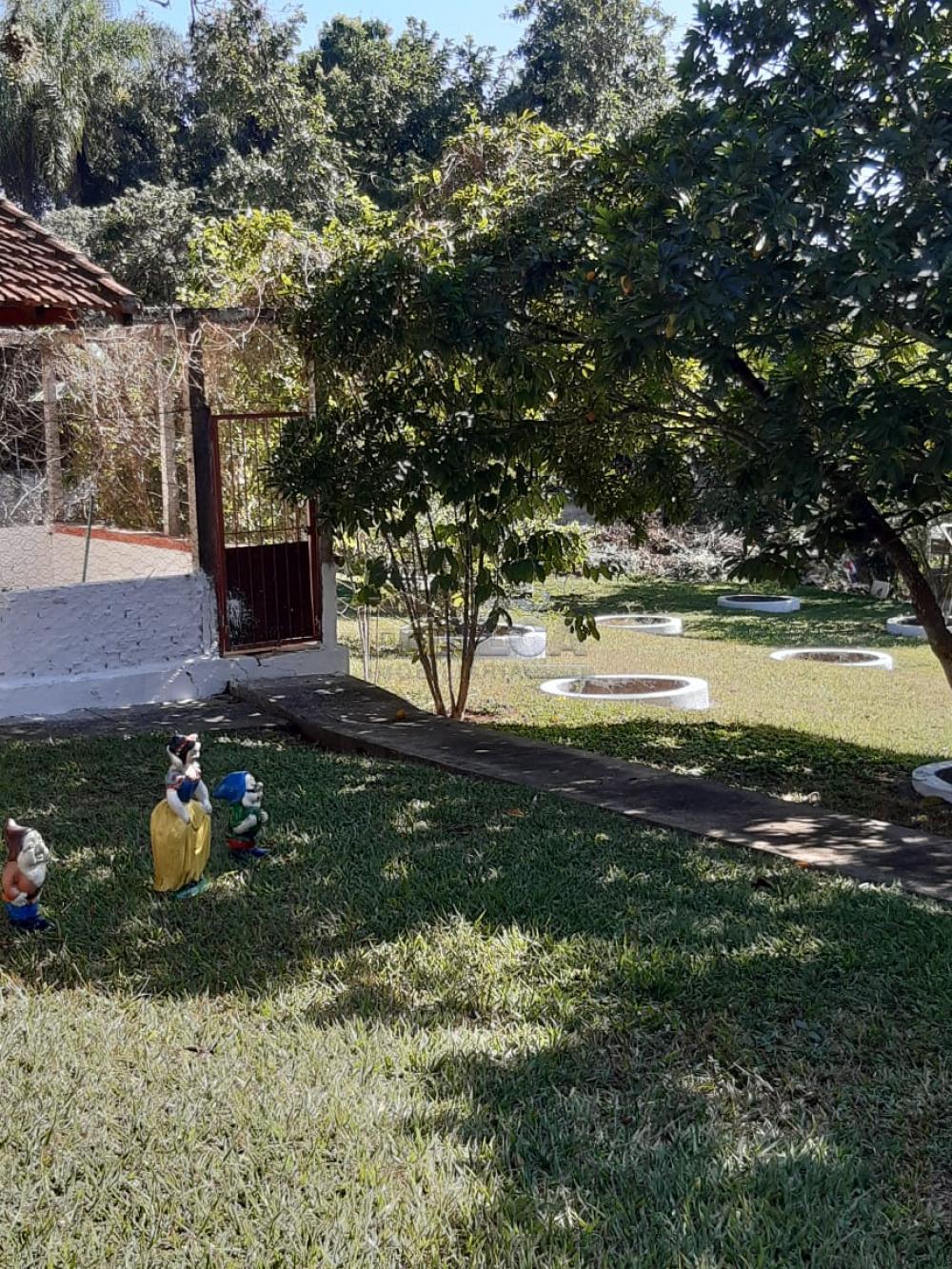 Comprar Rurais / Chácaras em Casa Branca apenas R$ 2.800.000,00 - Foto 12 Comprar Rurais / Chácaras em Casa Branca apenas R$ 2.800.000,00 - Foto 12