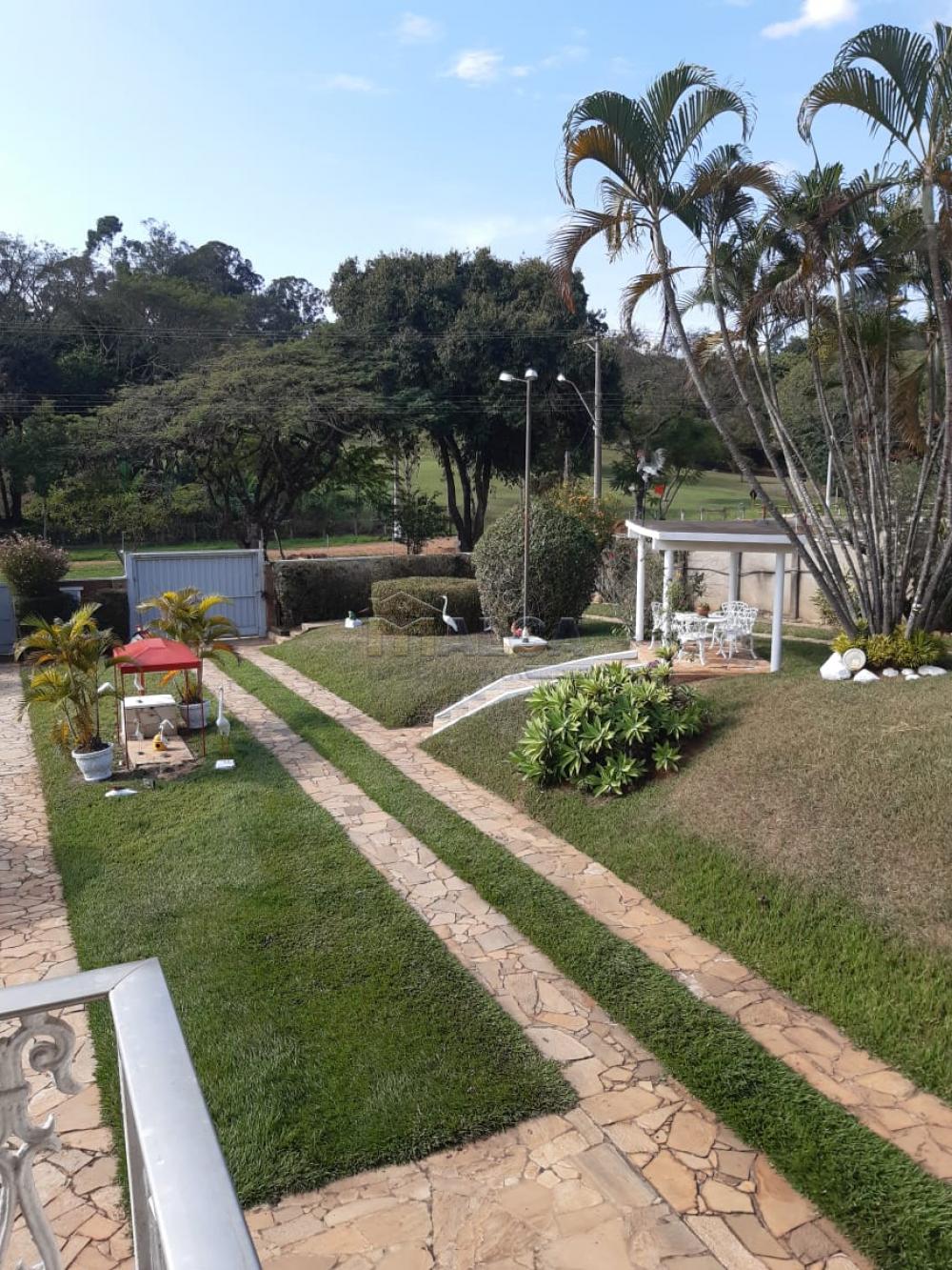 Comprar Rurais / Chácaras em Casa Branca apenas R$ 2.800.000,00 - Foto 13 Comprar Rurais / Chácaras em Casa Branca apenas R$ 2.800.000,00 - Foto 13