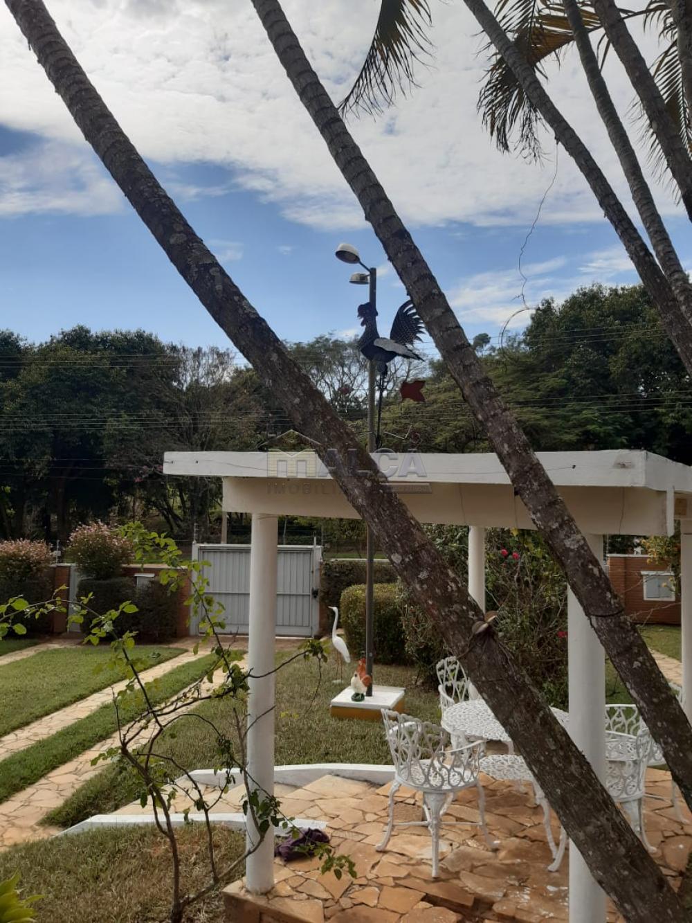 Comprar Rurais / Chácaras em Casa Branca apenas R$ 2.800.000,00 - Foto 14 Comprar Rurais / Chácaras em Casa Branca apenas R$ 2.800.000,00 - Foto 14