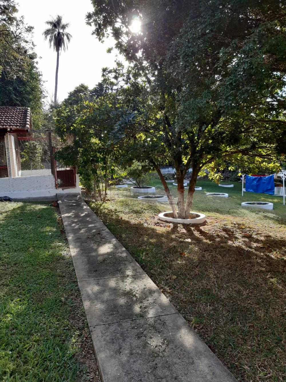 Comprar Rurais / Chácaras em Casa Branca apenas R$ 2.800.000,00 - Foto 24 Comprar Rurais / Chácaras em Casa Branca apenas R$ 2.800.000,00 - Foto 24