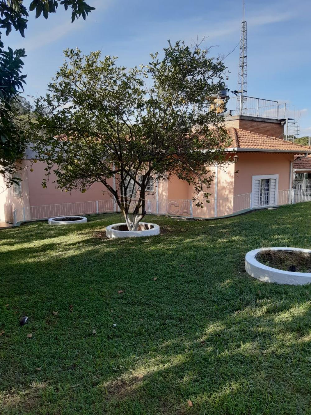 Comprar Rurais / Chácaras em Casa Branca apenas R$ 2.800.000,00 - Foto 25 Comprar Rurais / Chácaras em Casa Branca apenas R$ 2.800.000,00 - Foto 25