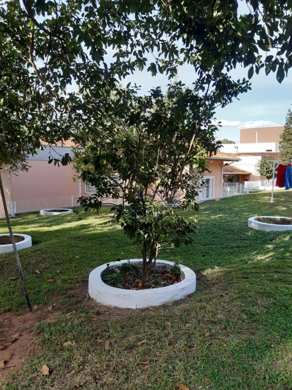 Comprar Rurais / Chácaras em Casa Branca apenas R$ 2.800.000,00 - Foto 26 Comprar Rurais / Chácaras em Casa Branca apenas R$ 2.800.000,00 - Foto 26