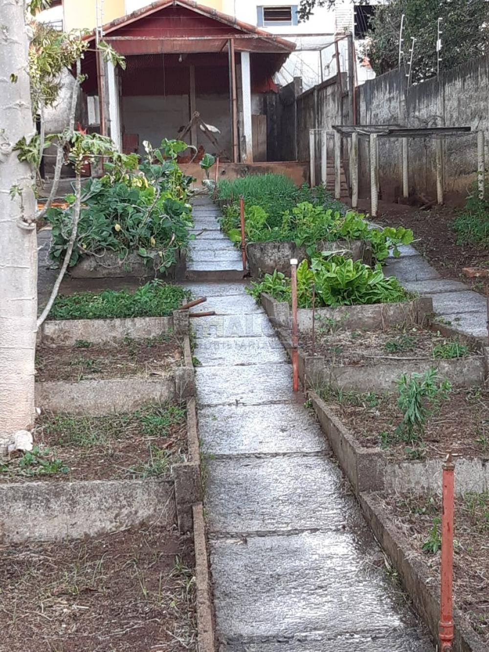 Comprar Rurais / Chácaras em Casa Branca apenas R$ 2.800.000,00 - Foto 27 Comprar Rurais / Chácaras em Casa Branca apenas R$ 2.800.000,00 - Foto 27