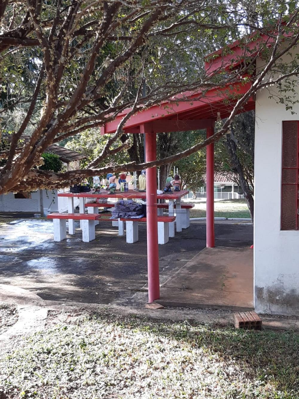 Comprar Rurais / Chácaras em Casa Branca apenas R$ 2.800.000,00 - Foto 29 Comprar Rurais / Chácaras em Casa Branca apenas R$ 2.800.000,00 - Foto 29
