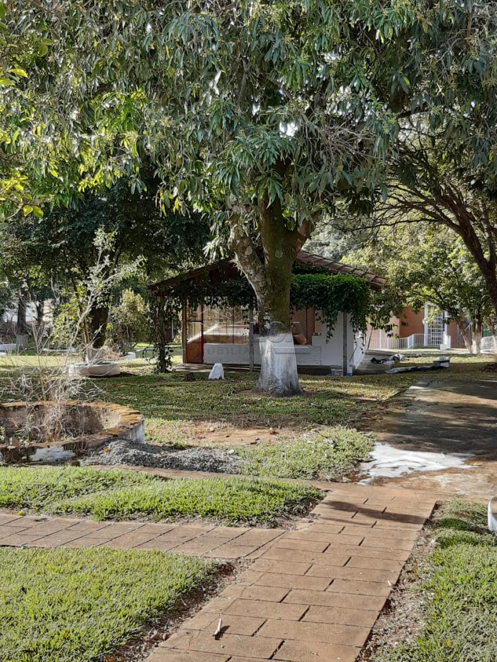 Comprar Rurais / Chácaras em Casa Branca apenas R$ 2.800.000,00 - Foto 30 Comprar Rurais / Chácaras em Casa Branca apenas R$ 2.800.000,00 - Foto 30