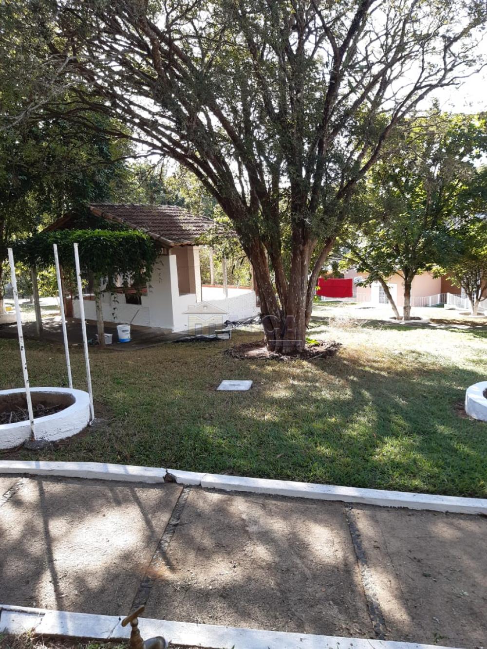 Comprar Rurais / Chácaras em Casa Branca apenas R$ 2.800.000,00 - Foto 33 Comprar Rurais / Chácaras em Casa Branca apenas R$ 2.800.000,00 - Foto 33
