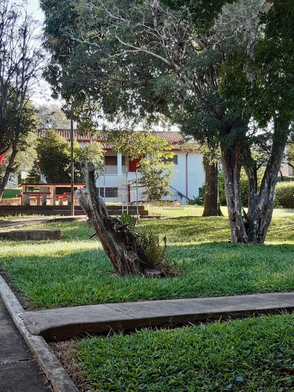 Comprar Rurais / Chácaras em Casa Branca apenas R$ 2.800.000,00 - Foto 35 Comprar Rurais / Chácaras em Casa Branca apenas R$ 2.800.000,00 - Foto 35