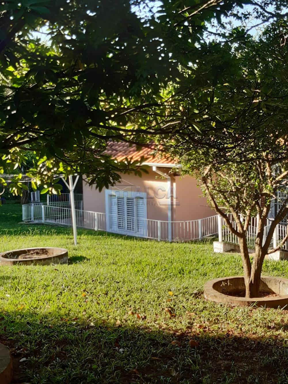 Comprar Rurais / Chácaras em Casa Branca apenas R$ 2.800.000,00 - Foto 36 Comprar Rurais / Chácaras em Casa Branca apenas R$ 2.800.000,00 - Foto 36