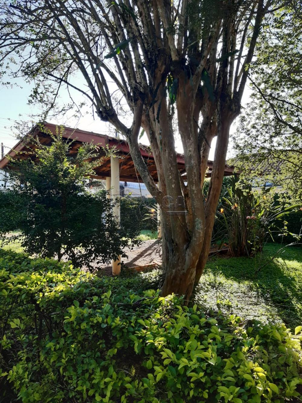 Comprar Rurais / Chácaras em Casa Branca apenas R$ 2.800.000,00 - Foto 37 Comprar Rurais / Chácaras em Casa Branca apenas R$ 2.800.000,00 - Foto 37