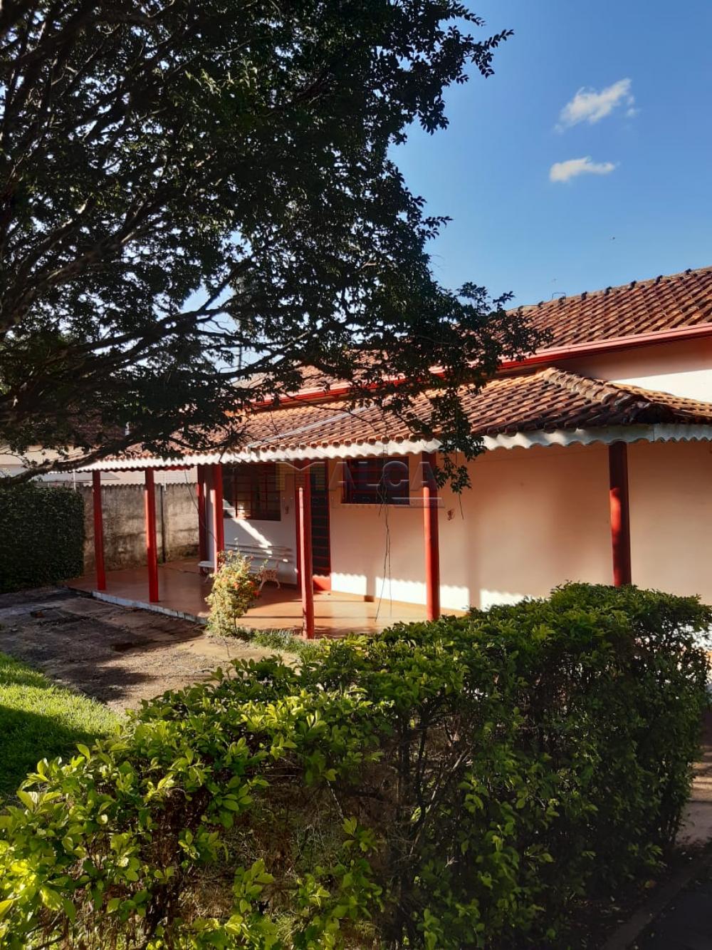 Comprar Rurais / Chácaras em Casa Branca apenas R$ 2.800.000,00 - Foto 38 Comprar Rurais / Chácaras em Casa Branca apenas R$ 2.800.000,00 - Foto 38