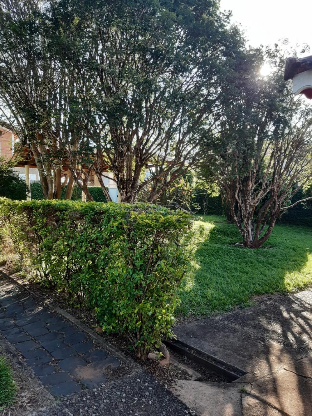Comprar Rurais / Chácaras em Casa Branca apenas R$ 2.800.000,00 - Foto 39 Comprar Rurais / Chácaras em Casa Branca apenas R$ 2.800.000,00 - Foto 39