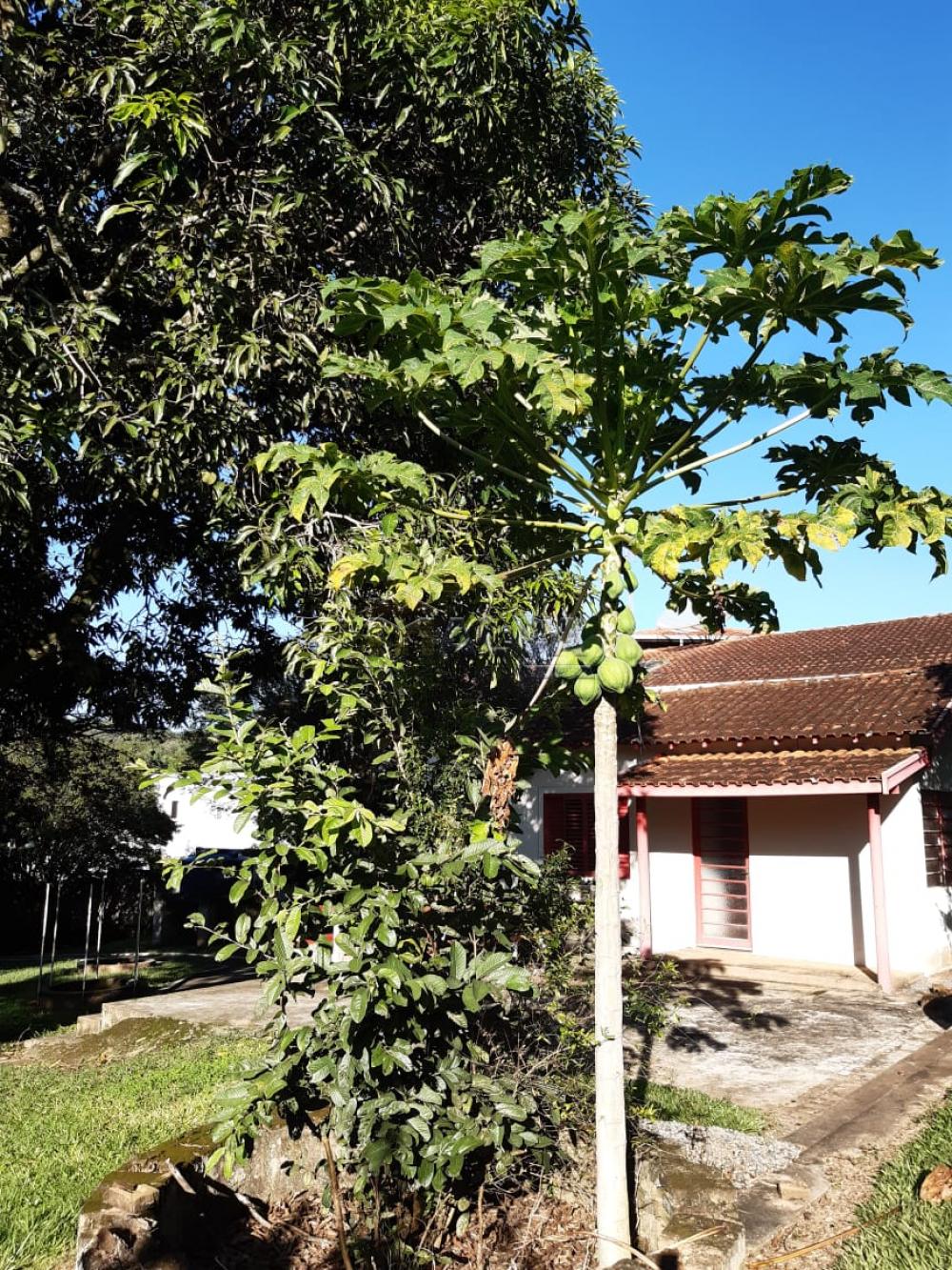 Comprar Rurais / Chácaras em Casa Branca apenas R$ 2.800.000,00 - Foto 40 Comprar Rurais / Chácaras em Casa Branca apenas R$ 2.800.000,00 - Foto 40