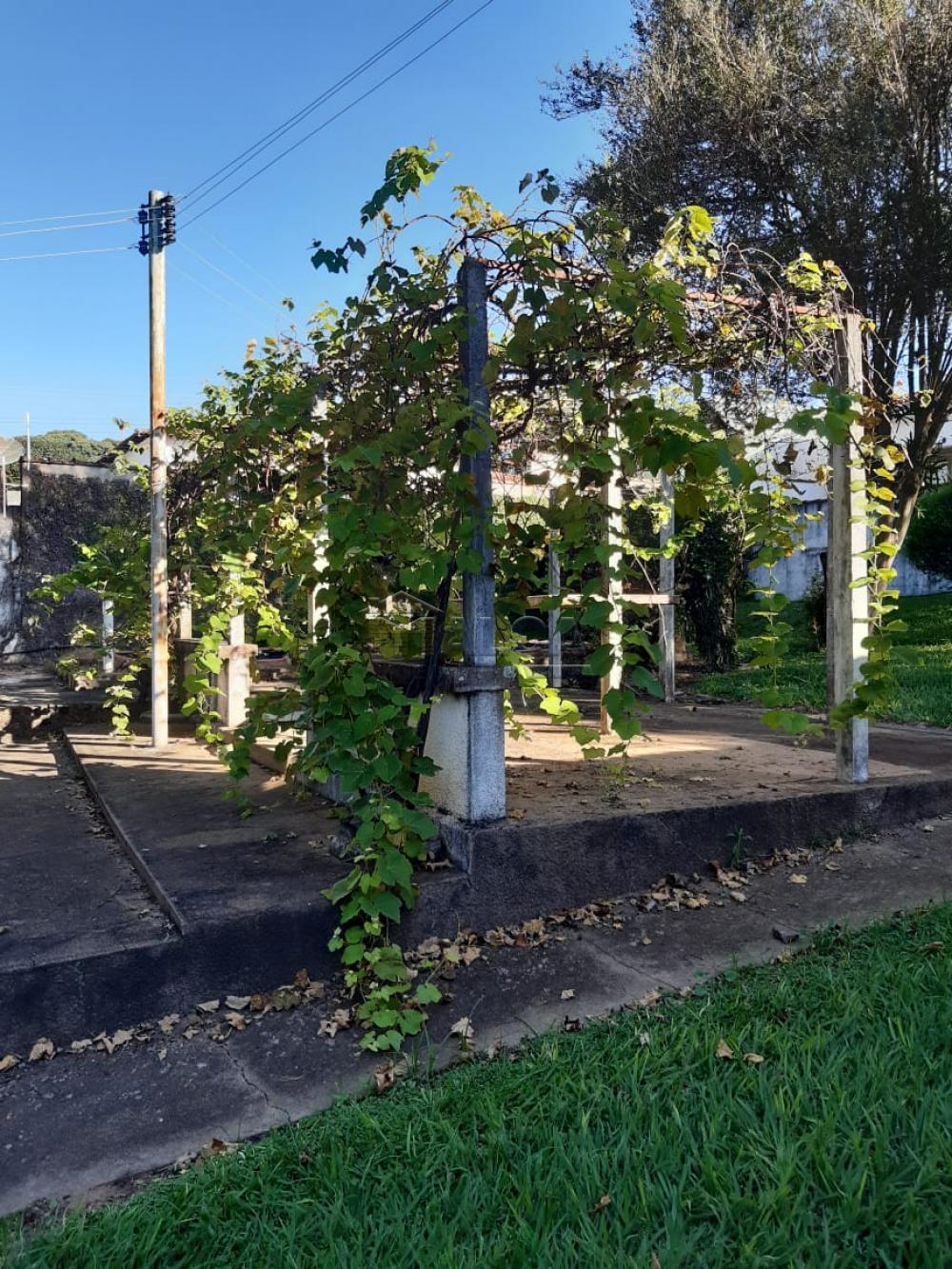 Comprar Rurais / Chácaras em Casa Branca apenas R$ 2.800.000,00 - Foto 41 Comprar Rurais / Chácaras em Casa Branca apenas R$ 2.800.000,00 - Foto 41