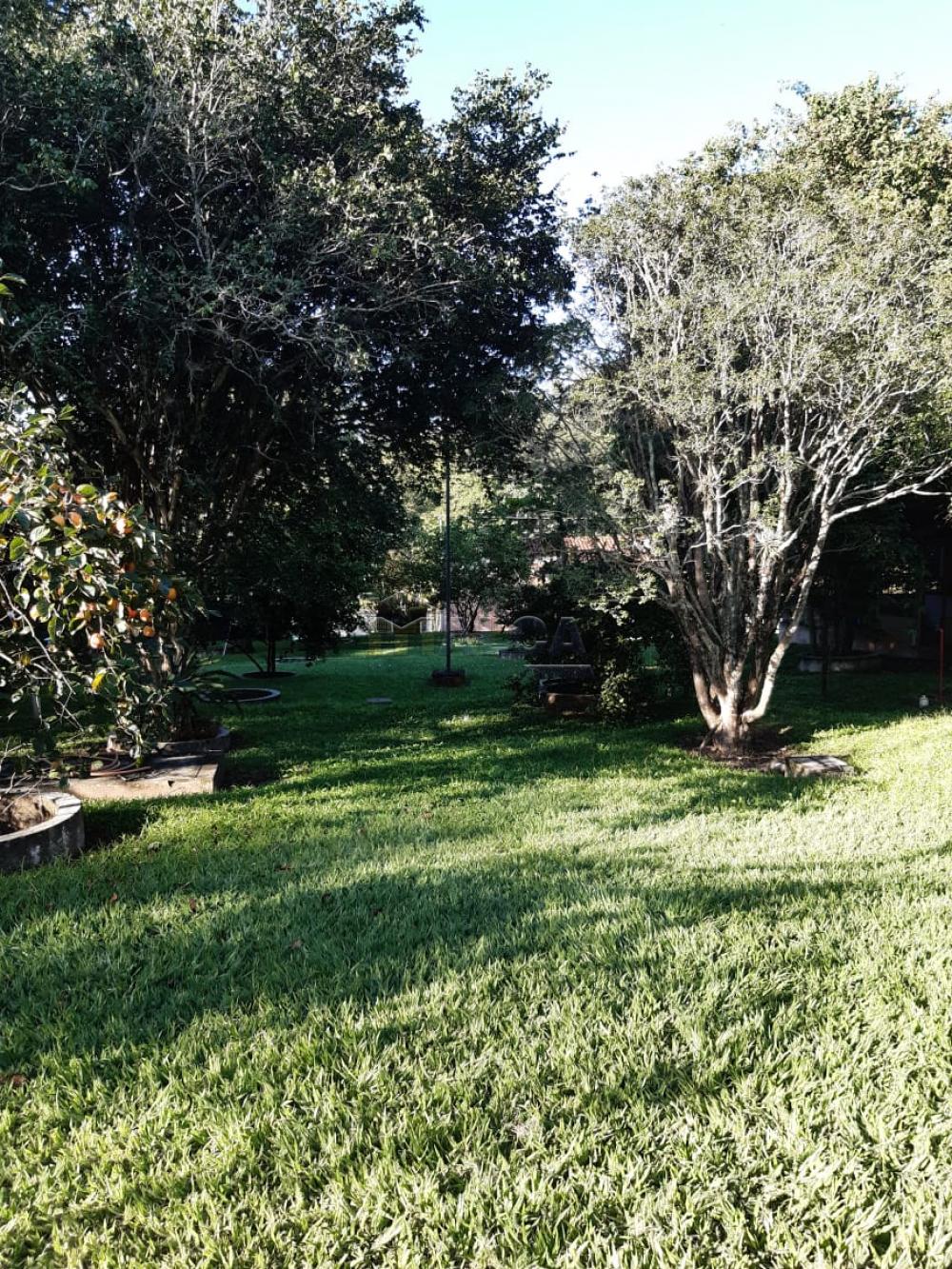 Comprar Rurais / Chácaras em Casa Branca apenas R$ 2.800.000,00 - Foto 43 Comprar Rurais / Chácaras em Casa Branca apenas R$ 2.800.000,00 - Foto 43