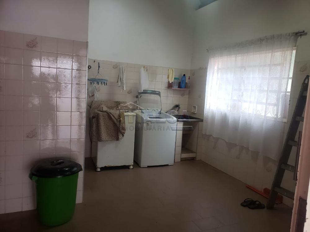 Comprar Rurais / Chácaras em Casa Branca apenas R$ 2.800.000,00 - Foto 51 Comprar Rurais / Chácaras em Casa Branca apenas R$ 2.800.000,00 - Foto 51