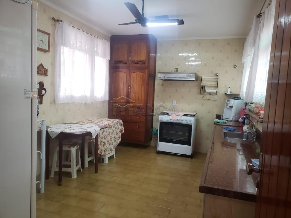 Comprar Rurais / Chácaras em Casa Branca apenas R$ 2.800.000,00 - Foto 53 Comprar Rurais / Chácaras em Casa Branca apenas R$ 2.800.000,00 - Foto 53