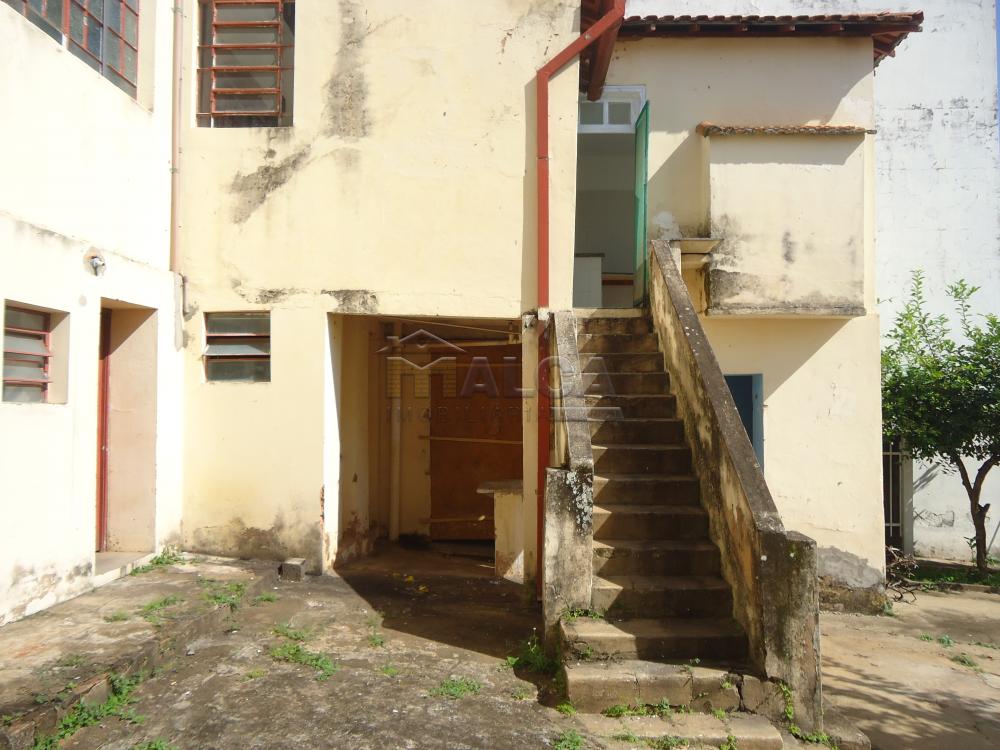 Alugar Casas / Padrão em São José do Rio Pardo R$ 1.550,00 - Foto 24