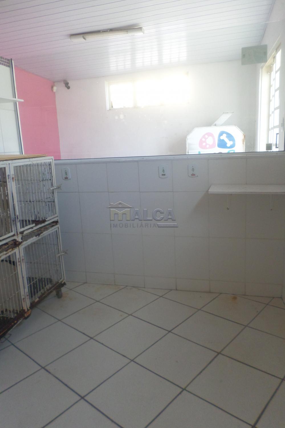 Alugar Comerciais / Salas em São José do Rio Pardo R$ 800,00 - Foto 5 Alugar Comerciais / Salas em São José do Rio Pardo R$ 800,00 - Foto 5