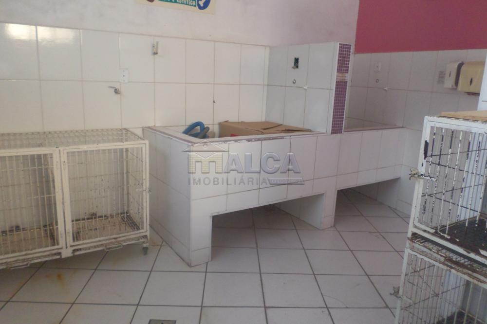Alugar Comerciais / Salas em São José do Rio Pardo R$ 800,00 - Foto 6 Alugar Comerciais / Salas em São José do Rio Pardo R$ 800,00 - Foto 6
