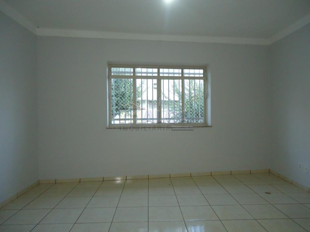 Alugar Casas / Padrão em São José do Rio Pardo R$ 1.300,00 - Foto 5 Alugar Casas / Padrão em São José do Rio Pardo R$ 1.300,00 - Foto 5