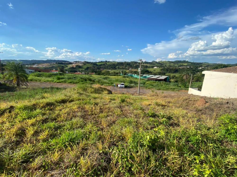 Comprar Terrenos / Padrão em São José do Rio Pardo R$ 106.000,00 - Foto 2