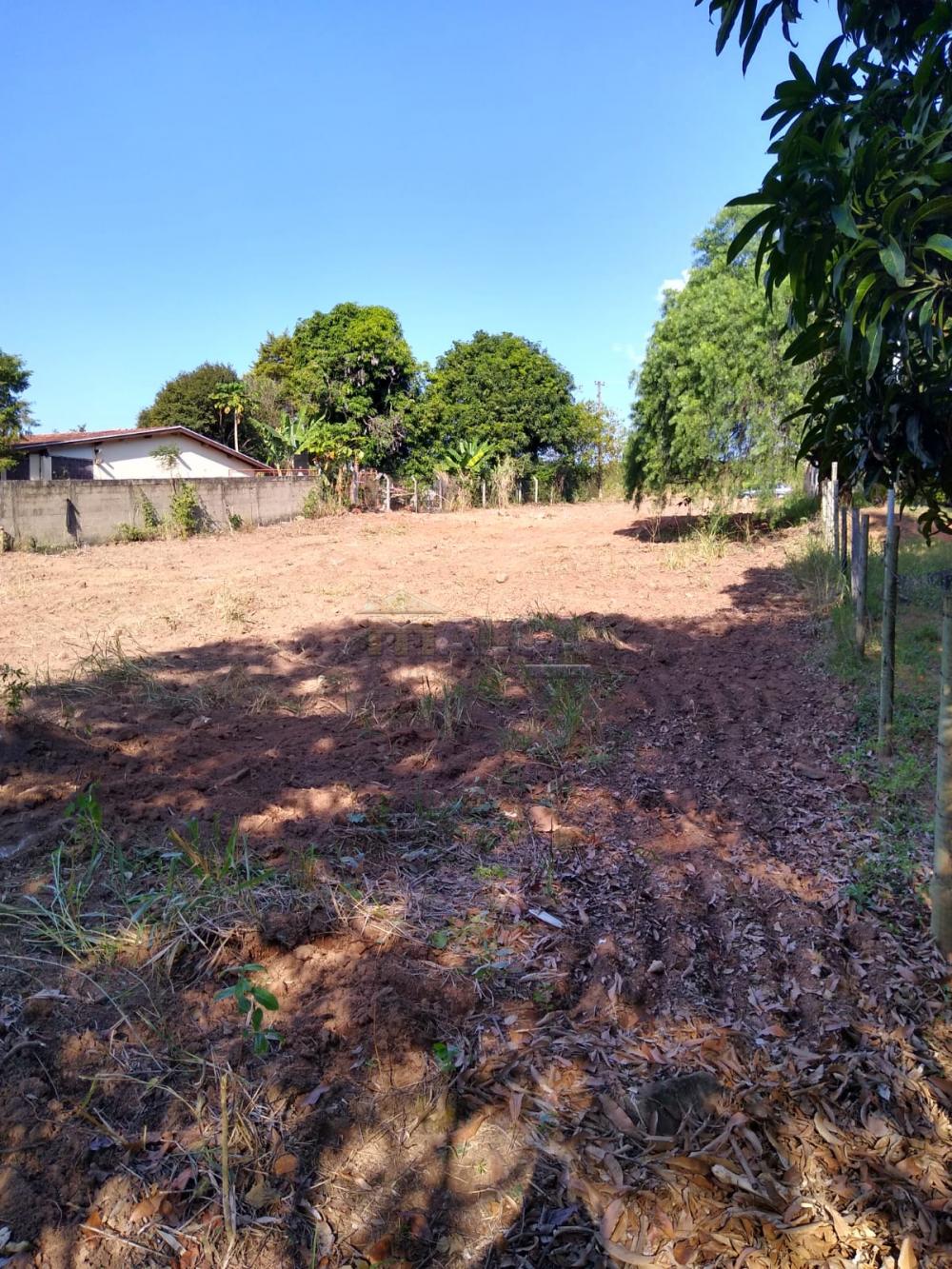 Comprar Terrenos / Padrão em São José do Rio Pardo R$ 120.000,00 - Foto 3