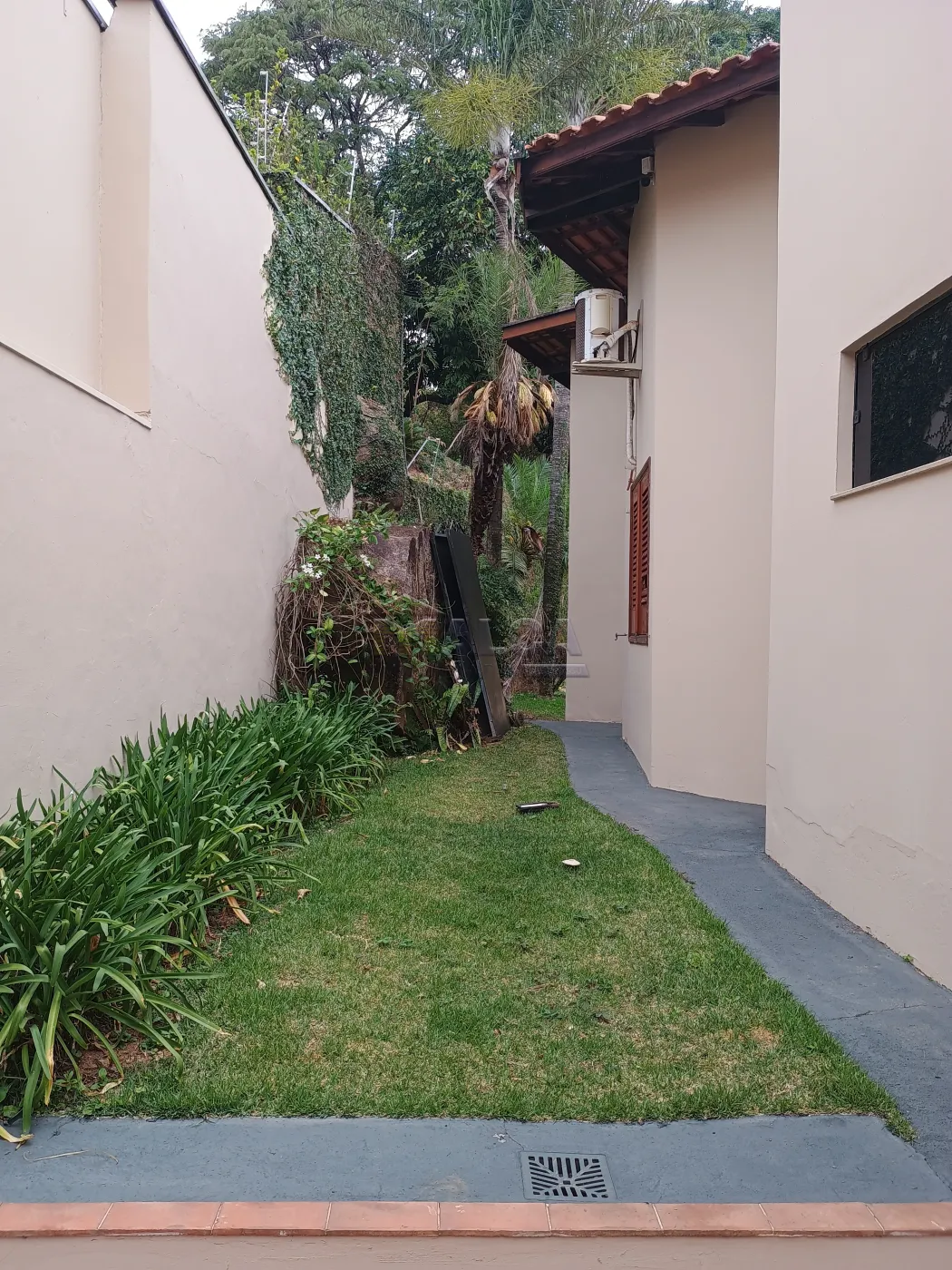 Jardim Alugar Casas / Padrão em São José do Rio Pardo R$ 4.000,00 - Foto 5