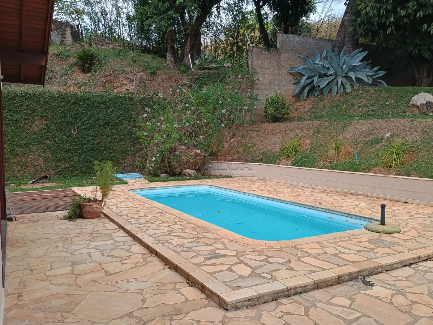 Piscina Alugar Casas / Padrão em São José do Rio Pardo R$ 4.000,00 - Foto 48