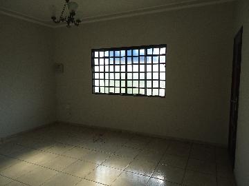 imagem 5 - Casas - Padrão imagem 5 - Casas - Padrão