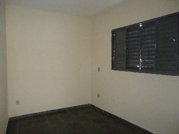 Alugar Casas / Padrão em São José do Rio Pardo R$ 800,00 - Foto 10 Alugar Casas / Padrão em São José do Rio Pardo R$ 800,00 - Foto 10