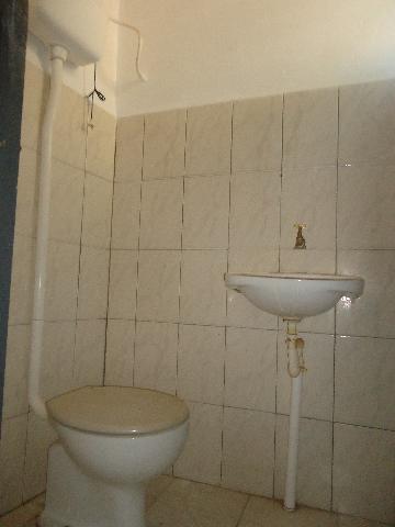 Alugar Casas / Padrão em São José do Rio Pardo R$ 800,00 - Foto 12 Alugar Casas / Padrão em São José do Rio Pardo R$ 800,00 - Foto 12