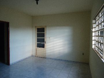 imagem 5 - Casas - Padrão imagem 5 - Casas - Padrão