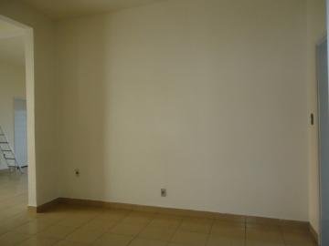 Alugar Casas / Padrão em São José do Rio Pardo R$ 2.000,00 - Foto 13 Alugar Casas / Padrão em São José do Rio Pardo R$ 2.000,00 - Foto 13