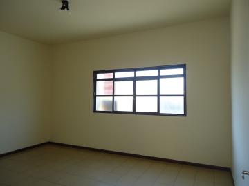 Alugar Casas / Padrão em São José do Rio Pardo R$ 2.000,00 - Foto 5 Alugar Casas / Padrão em São José do Rio Pardo R$ 2.000,00 - Foto 5