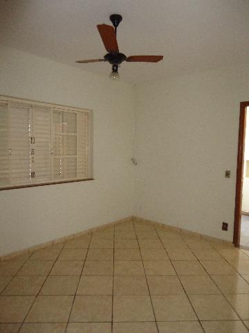 Alugar Casas / Padrão em São José do Rio Pardo R$ 1.300,00 - Foto 21 Alugar Casas / Padrão em São José do Rio Pardo R$ 1.300,00 - Foto 21