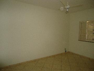 Alugar Casas / Padrão em São José do Rio Pardo R$ 1.300,00 - Foto 24 Alugar Casas / Padrão em São José do Rio Pardo R$ 1.300,00 - Foto 24
