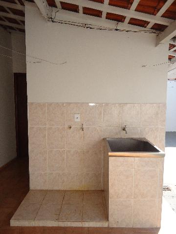 Alugar Casas / Padrão em São José do Rio Pardo R$ 1.300,00 - Foto 36 Alugar Casas / Padrão em São José do Rio Pardo R$ 1.300,00 - Foto 36