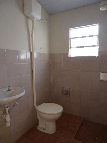 Alugar Casas / Padrão em São José do Rio Pardo R$ 1.300,00 - Foto 37 Alugar Casas / Padrão em São José do Rio Pardo R$ 1.300,00 - Foto 37
