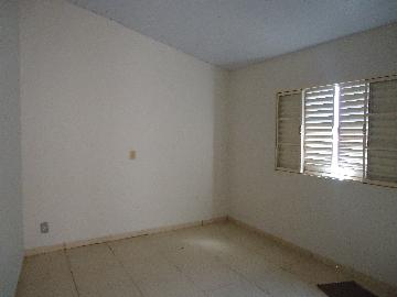 Alugar Casas / Padrão em São José do Rio Pardo R$ 1.300,00 - Foto 39 Alugar Casas / Padrão em São José do Rio Pardo R$ 1.300,00 - Foto 39