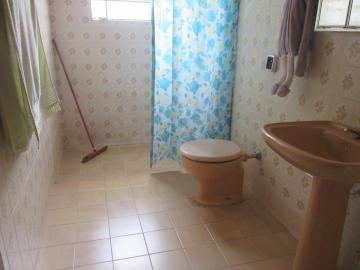 imagem 5 - Casas - Padrão imagem 5 - Casas - Padrão