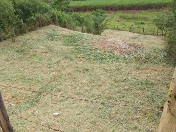imagem 1 - Terrenos - Padrão imagem 1 - Terrenos - Padrão