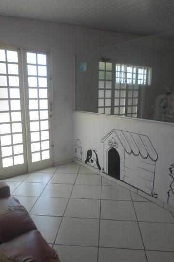 Alugar Comerciais / Salas em São José do Rio Pardo R$ 800,00 - Foto 3 Alugar Comerciais / Salas em São José do Rio Pardo R$ 800,00 - Foto 3