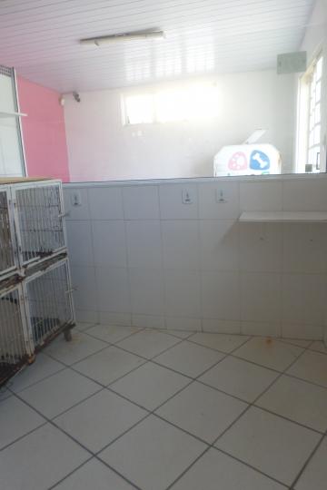 Alugar Comerciais / Salas em São José do Rio Pardo R$ 800,00 - Foto 5 Alugar Comerciais / Salas em São José do Rio Pardo R$ 800,00 - Foto 5