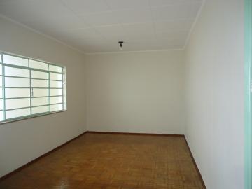 Alugar Casas / Padrão em São José do Rio Pardo R$ 1.120,00 - Foto 6 Alugar Casas / Padrão em São José do Rio Pardo R$ 1.120,00 - Foto 6