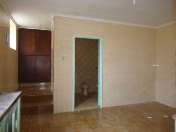 Alugar Casas / Padrão em São José do Rio Pardo R$ 1.120,00 - Foto 21 Alugar Casas / Padrão em São José do Rio Pardo R$ 1.120,00 - Foto 21