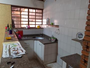 Alugar Casas / Padrão em São José do Rio Pardo R$ 1.650,00 - Foto 18 Alugar Casas / Padrão em São José do Rio Pardo R$ 1.650,00 - Foto 18