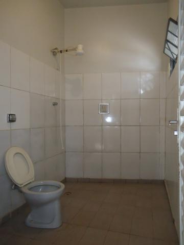 Alugar Comerciais / Barracões em São José do Rio Pardo R$ 3.500,00 - Foto 13 Alugar Comerciais / Barracões em São José do Rio Pardo R$ 3.500,00 - Foto 13
