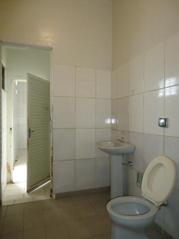 Alugar Comerciais / Barracões em São José do Rio Pardo R$ 3.500,00 - Foto 14 Alugar Comerciais / Barracões em São José do Rio Pardo R$ 3.500,00 - Foto 14