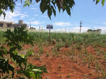 Terrenos / Padrão em São José do Rio Pardo/SP 